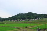 安芸 瀬賀城の写真