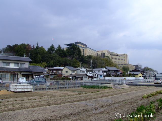 備中 松島城の写真