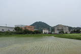 豊前 松山城の写真