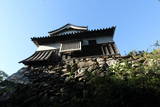 筑前 福岡城の写真