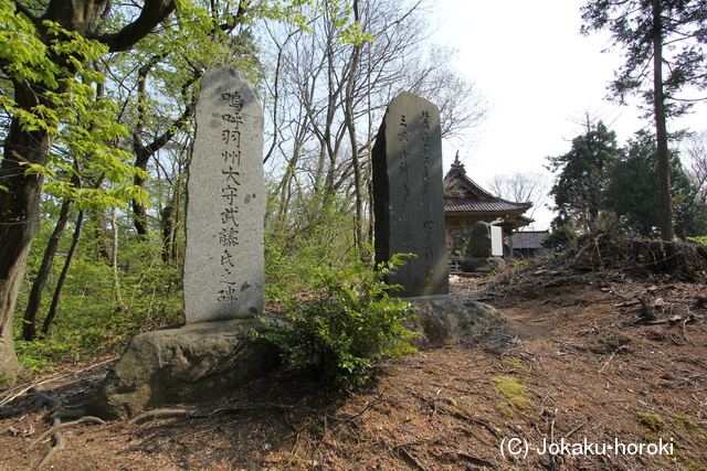 出羽 尾浦城の写真