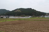 出羽 浦城の写真