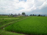 越中 井口城の写真