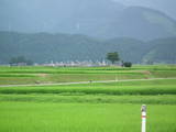越中 井口城の写真