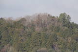 播磨 大木城の写真