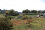 播磨 城中構居の写真