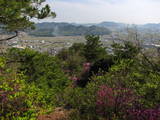 播磨 庄山城の写真