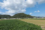 播磨 八幡山城(赤穂市)の写真