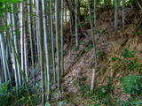 肥後 御宇田城の写真