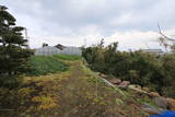 肥前 深江城の写真