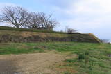 肥前 原城の写真
