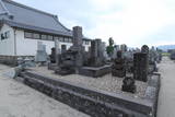 肥前 徳島城の写真