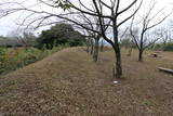 伯耆 尾高城の写真