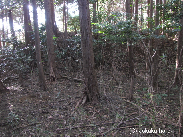 伊勢 忍田城の写真