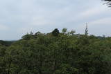 石見 福光城の写真