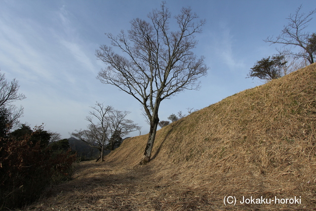石見 横山城の写真