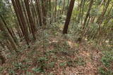 石見 桜尾城の写真