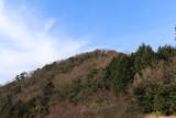 伊予 大戸城の写真