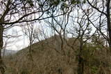 伊予 白滝城の写真
