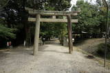 和泉 松尾寺城の写真