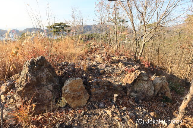 韓国 明洞倭城Cの写真