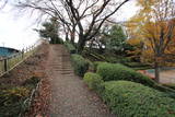上野 藤岡城の写真