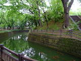 上野 小泉城の写真