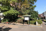 上野 前橋城の写真