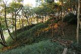 上野 嶺城の写真