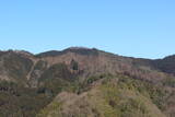 美作 天神山城(上横野)の写真