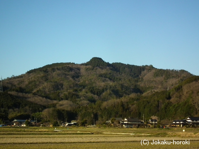 美作 篠向城の写真
