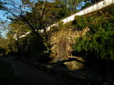 美濃 小倉山城の写真