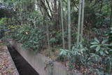 武蔵 三ツ木城の写真