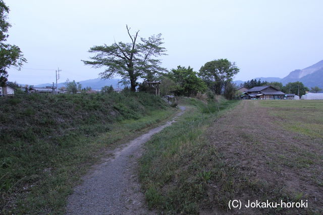 武蔵 永田城の写真