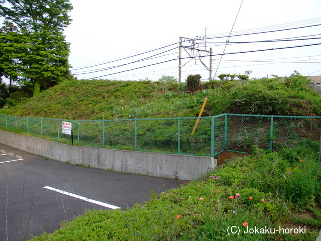 武蔵 山口城の写真