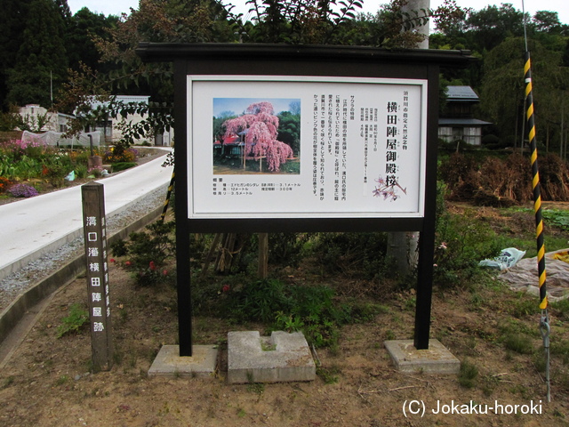 陸奥 横田陣屋の写真