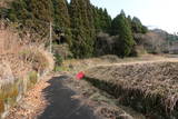 大隅 姫木城の写真