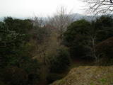 大隅 蒲生城の写真