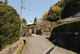 大隅 曽木城の写真