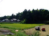 近江 青木城(西城館)の写真