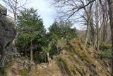 近江 鎌刃城の写真