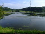 近江 中野城の写真
