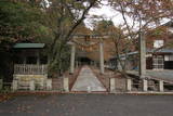 近江 田部山城の写真