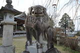 讃岐 藤目城の写真