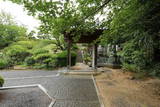 讃岐 岡本城の写真
