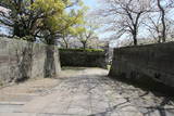 薩摩 鹿児島城の写真