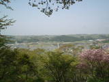 下野 芦野城の写真