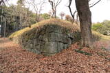 下野 烏山城の写真