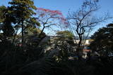下総 臼井田宿内砦の写真