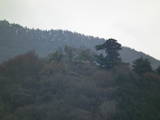 信濃 青柳城の写真